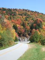 Fall colors during a recent motorcycle tour
